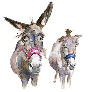 I due muli e i briganti